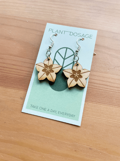 Hoya Blooms Wooden Earrings - Serene Rage LLC