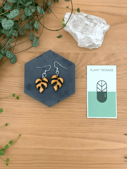 Rhaphidophora Tetrasperma Wooden Earrings - Serene Rage LLC